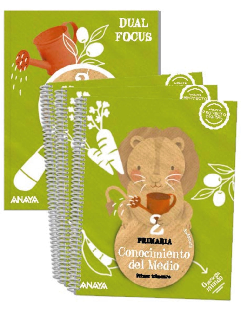 Conocimiento del Medio 2. + Science 2. Dual focus
