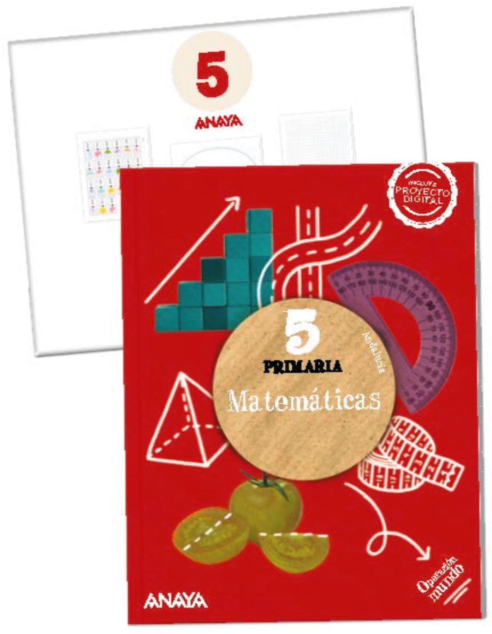 Matemáticas 5. (Incluye material manipulativo)