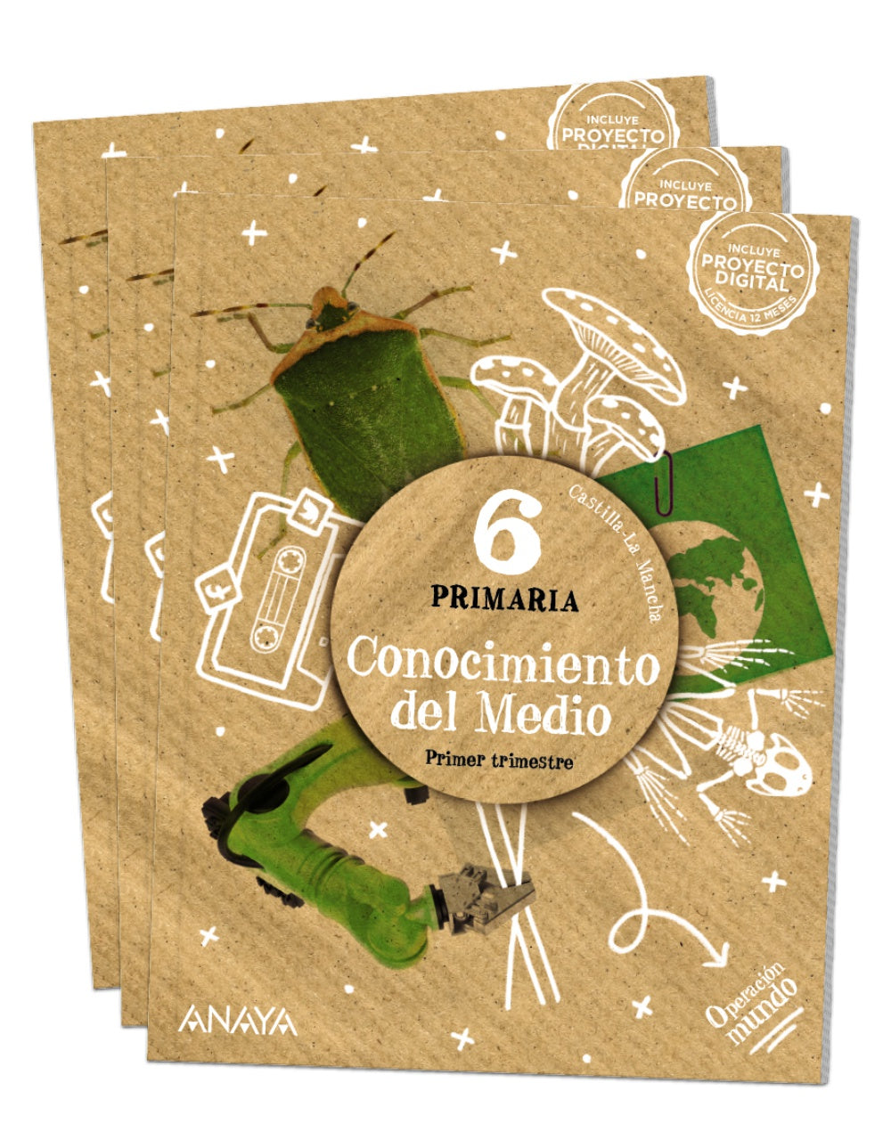 Conocimiento del Medio 6