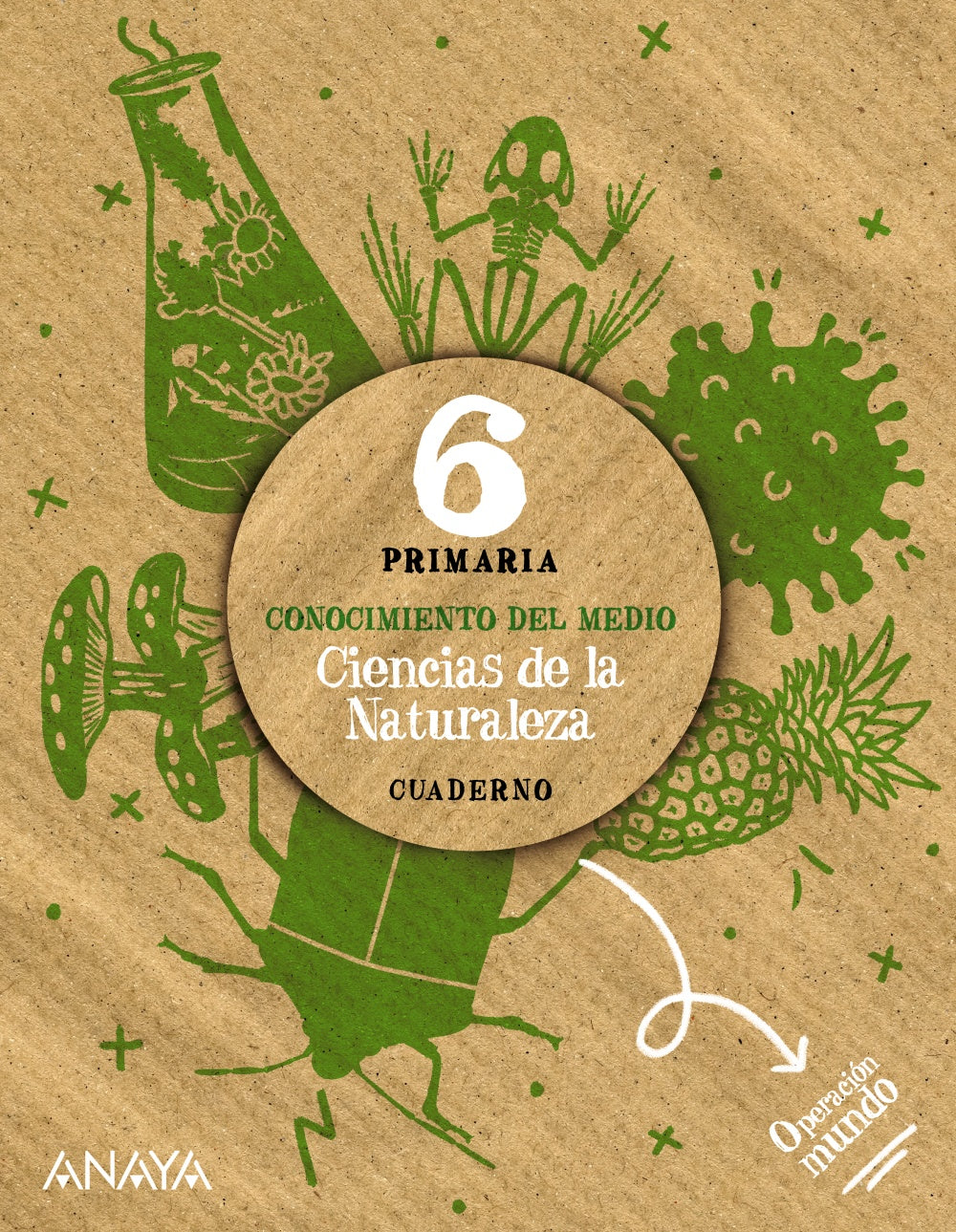 Ciencias de la Naturaleza 6. Cuaderno