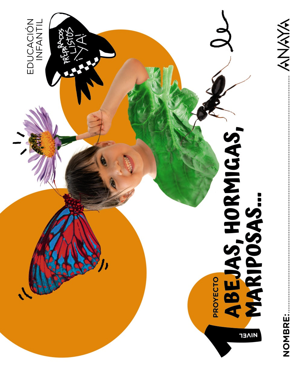 Abejas, hormigas, mariposas... Nivel 1