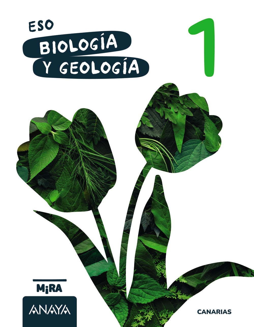 Biología y Geología 1