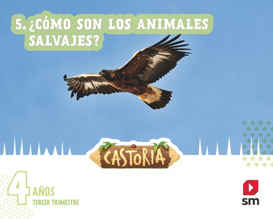 areas-integradas-2-infantil-tercer-trimestre-castoria
